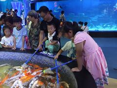 -烟台海昌鲸鲨海洋公园