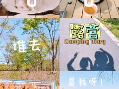 -广富林郊野公园