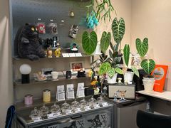 -Dogi&kiki Coffee(中心商务大厦店)