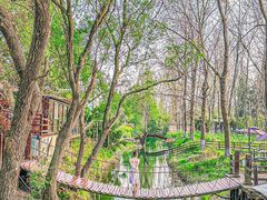 -呼吸森林·生态农庄农家乐私房菜