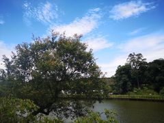 -常德桃花源景区