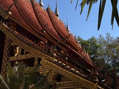 -西双版纳傣族园