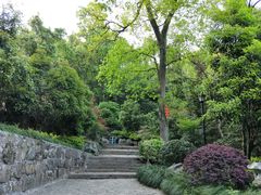 -杭州西湖风景名胜区-三生石