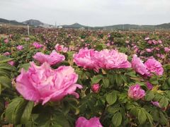 -艾山风景名胜区