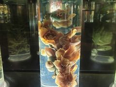 -广东中医药博物馆