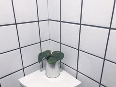 -Hello·生日蛋糕·下午茶·甜品台茶歇(瑞安东山店)