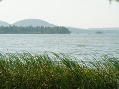 -武汉大学-樱园