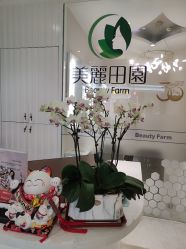 -美丽田园