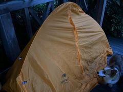 -铁山坪森林公园