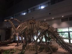 -自贡恐龙博物馆