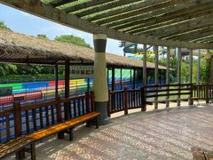 景点-上海玛雅海滩水公园