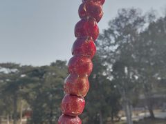 -八大处公园