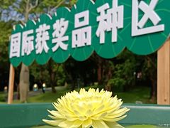 -云溪植物园