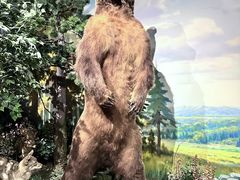 -陕西自然博物馆