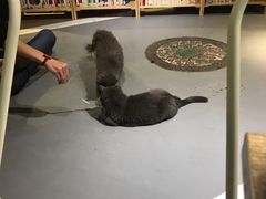 -小时光咖啡馆(开森度假森林店)