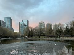 -团结湖公园