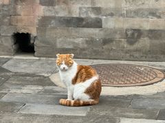 -北京艺术博物馆(万寿寺)