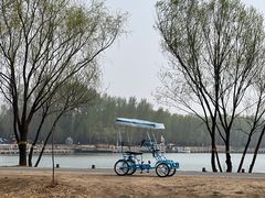 -野鸭湖国家湿地公园