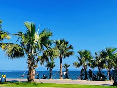 -大梅沙海滨公园