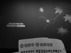 -越界思哲IMAX(寮步店)