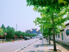 -北京西山国家森林公园