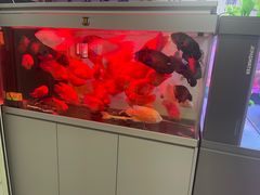 -三旗百汇商品城