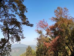 -广州市石门国家森林公园