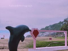 游乐设施-玫瑰海岸文化旅游度假区