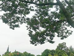 -宝光寺