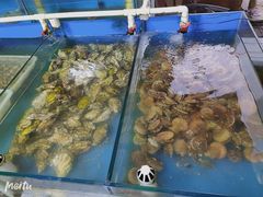 水产区-金渔村海鲜烧烤大排档