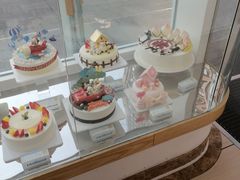 -蒲公英(五里店)