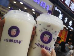 -一只酸奶牛(八一路店)