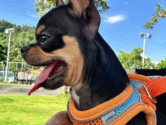 -吉利龙虾·新派海鲜烧烤