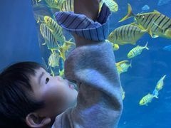 -南昌融创海世界