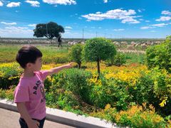 -敕勒川草原文化旅游区