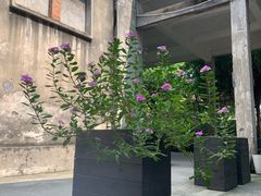 -广州市紫泥堂文化创意园景区