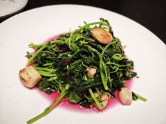 -苏淮景·苏闽融创菜·海鲜(原空港井河轩店)