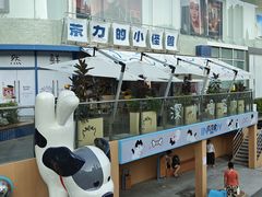 -茶力的小怪兽(梅林卓悦汇店)