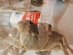-徐记小怪兽肉蟹煲(中央大街店)
