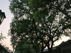 -北京国子监胡同
