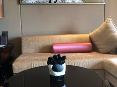 -成都保利公园皇冠假日酒店(熊猫基地店)