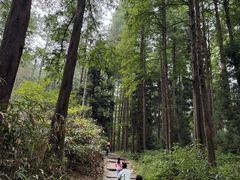 -罗田薄刀峰风景区