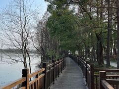 -东湖落雁景区