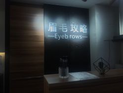 -眉毛攻略·专业修眉染眉野生眉
