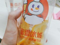 -蜜雪冰城(梅花园佳润广场店)
