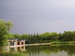 -大兴滨河森林公园