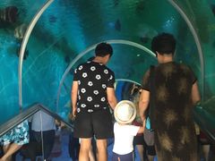 -瑞德姆美人鱼海底演艺主题餐厅(亚龙湾店)