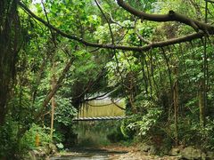 -燕晗山郊野公园