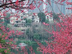 -重庆彩云湖湿地公园