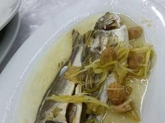 -老三鱼仔店